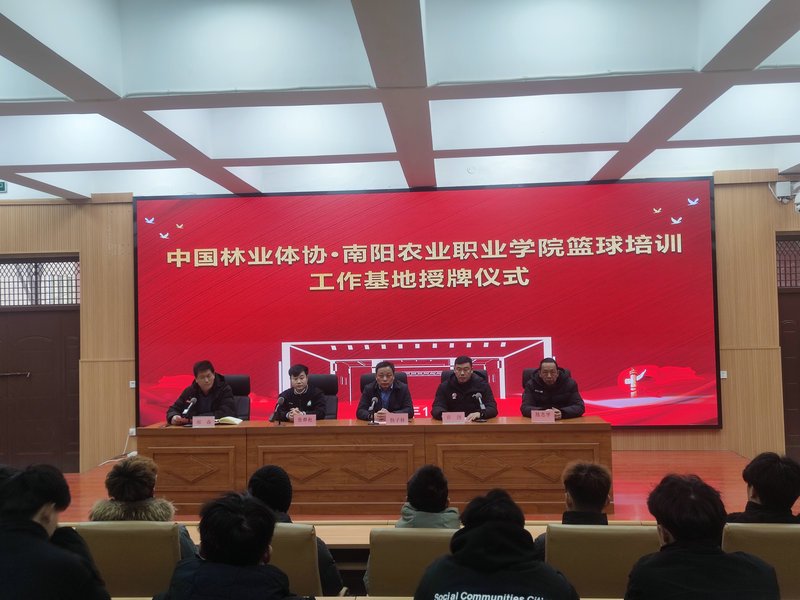 如何设计个性化的篮球训练方案_1